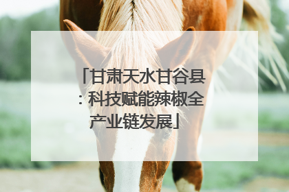 甘肃天水甘谷县：科技赋能辣椒全产业链发展