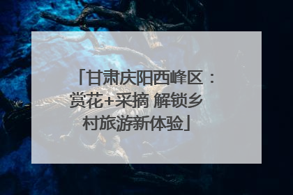 甘肃庆阳西峰区：赏花+采摘 解锁乡村旅游新体验