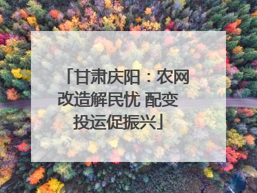 甘肃庆阳：农网改造解民忧 配变投运促振兴