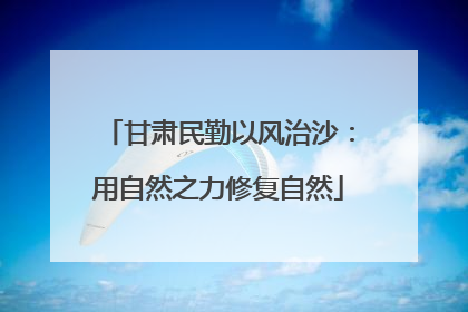 甘肃民勤以风治沙：用自然之力修复自然