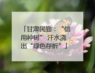 甘肃民勤：“信用种树” 汗水浇出“绿色存折”