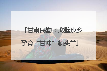甘肃民勤：戈壁沙乡孕育“甘味”领头羊