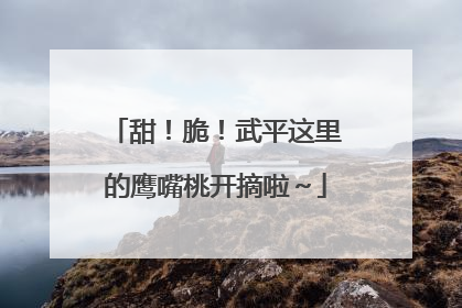 甜！脆！武平这里的鹰嘴桃开摘啦～