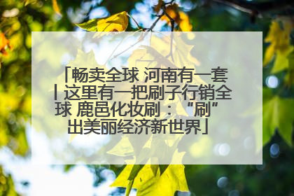 畅卖全球 河南有一套丨这里有一把刷子行销全球 鹿邑化妆刷：“刷”出美丽经济新世界