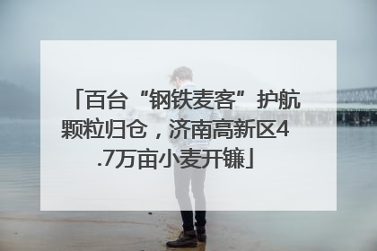 百台“钢铁麦客”护航颗粒归仓，济南高新区4.7万亩小麦开镰
