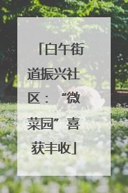 白午街道振兴社区：“微菜园”喜获丰收