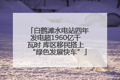 白鹤滩水电站四年发电超1960亿千瓦时 库区移民搭上“绿色发展快车”