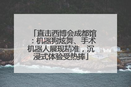 直击西博会成都馆：机器狗炫舞、手术机器人展现精准，沉浸式体验受热捧