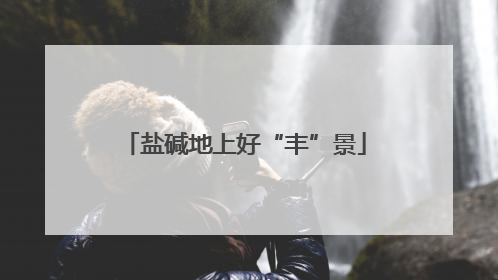 盐碱地上好“丰”景