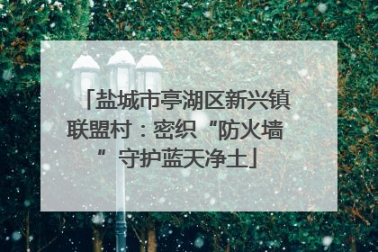 盐城市亭湖区新兴镇联盟村：密织“防火墙”守护蓝天净土