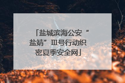 盐城滨海公安“盐靖”Ⅲ号行动织密夏季安全网