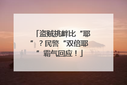 盗贼挑衅比“耶”？民警“双倍耶”霸气回应！