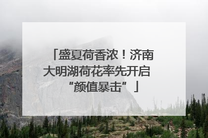 盛夏荷香浓！济南大明湖荷花率先开启“颜值暴击”