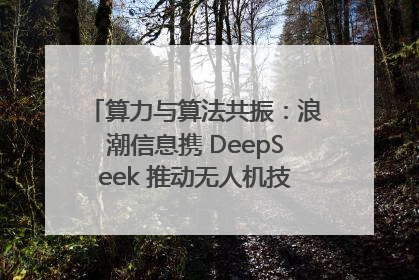 算力与算法共振：浪潮信息携 DeepSeek 推动无人机技术在舟山落地