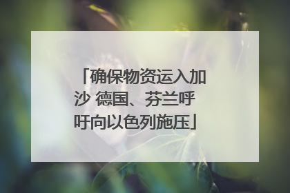确保物资运入加沙 德国、芬兰呼吁向以色列施压