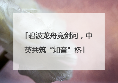 碧波龙舟竞剑河，中英共筑“知音”桥