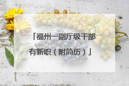 福州一副厅级干部有新职（附简历）