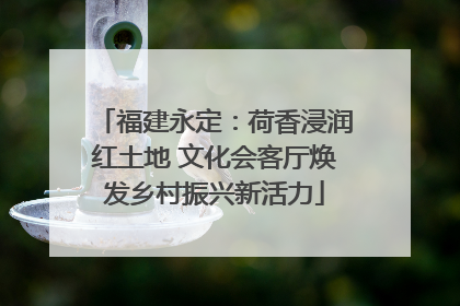 福建永定：荷香浸润红土地 文化会客厅焕发乡村振兴新活力