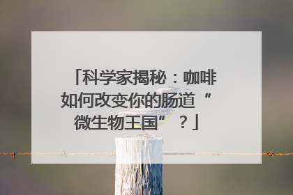 科学家揭秘：咖啡如何改变你的肠道“微生物王国”？