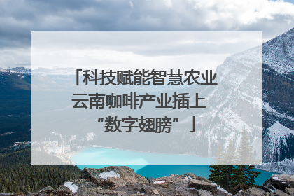 科技赋能智慧农业 云南咖啡产业插上“数字翅膀”