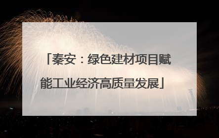 秦安：绿色建材项目赋能工业经济高质量发展
