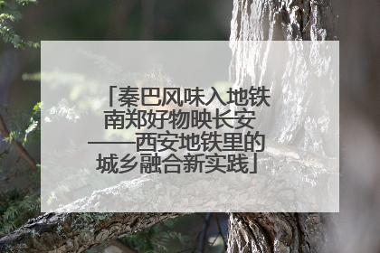 秦巴风味入地铁 南郑好物映长安——西安地铁里的城乡融合新实践