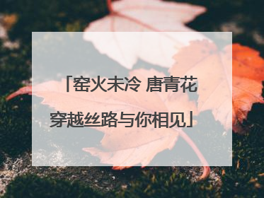 窑火未冷 唐青花穿越丝路与你相见