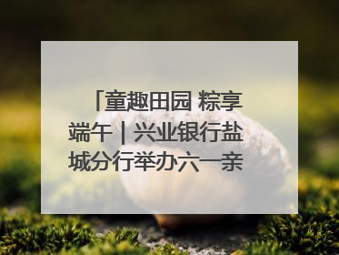 童趣田园 粽享端午｜兴业银行盐城分行举办六一亲子嘉年华活动