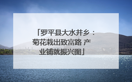 罗平县大水井乡：菊花栽出致富路 产业铺就振兴图