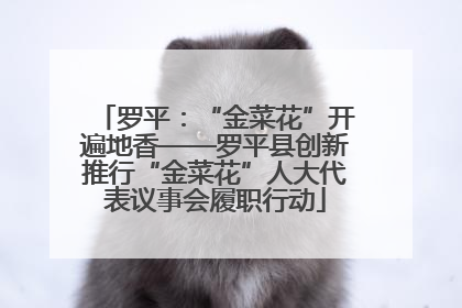 罗平：“金菜花”开遍地香——罗平县创新推行“金菜花”人大代表议事会履职行动