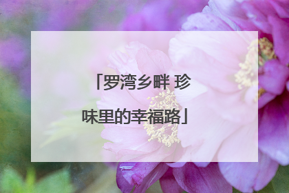 罗湾乡畔 珍味里的幸福路
