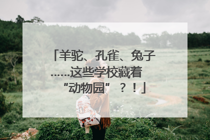羊驼、孔雀、兔子……这些学校藏着 “动物园”？！