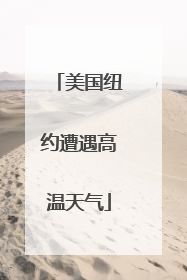 美国纽约遭遇高温天气