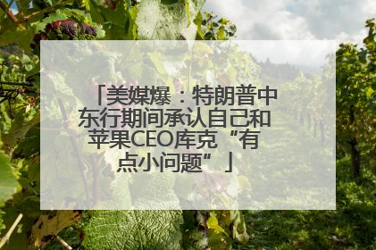 美媒爆：特朗普中东行期间承认自己和苹果CEO库克“有点小问题”