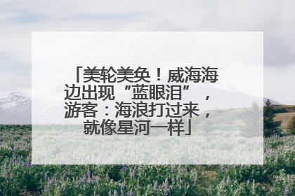 美轮美奂！威海海边出现“蓝眼泪”，游客：海浪打过来，就像星河一样
