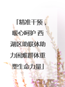 精准干预，暖心呵护 西湖区助联体助力困难群体重塑生命力量