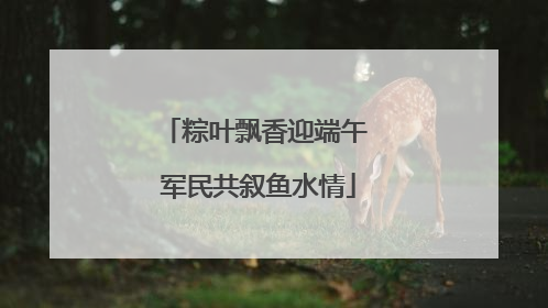 粽叶飘香迎端午 军民共叙鱼水情