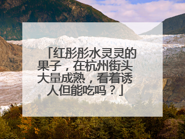 红彤彤水灵灵的果子，在杭州街头大量成熟，看着诱人但能吃吗？