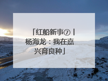 红船新事⑦丨杨海龙：我在嘉兴育良种