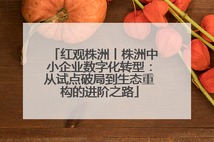 红观株洲丨株洲中小企业数字化转型：从试点破局到生态重构的进阶之路
