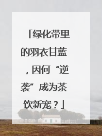 绿化带里的羽衣甘蓝，因何“逆袭”成为茶饮新宠？