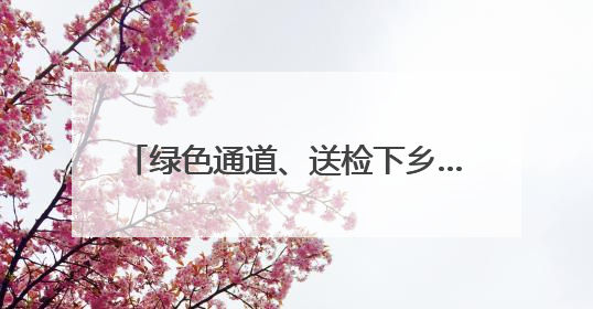 绿色通道、送检下乡…………德州高效办理农机业务4200多件
