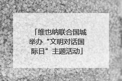 维也纳联合国城举办“文明对话国际日”主题活动