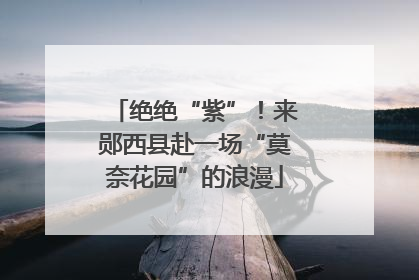 绝绝“紫”!来郧西县赴一场“莫奈花园”的浪漫