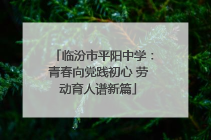 临汾市平阳中学：青春向党践初心 劳动育人谱新篇