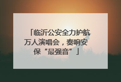 临沂公安全力护航万人演唱会，奏响安保“最强音”