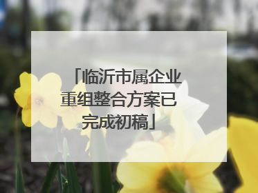 临沂市属企业重组整合方案已完成初稿