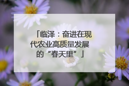 临泽：奋进在现代农业高质量发展的“春天里”