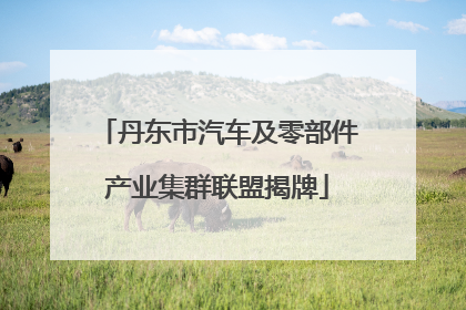 丹东市汽车及零部件产业集群联盟揭牌
