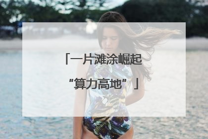 一片滩涂崛起“算力高地”